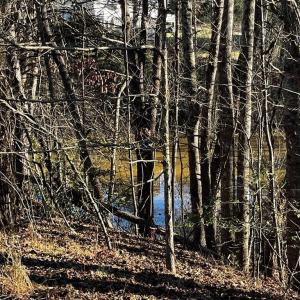 Photo #5 of Virgilina, Cana, VA 0.8 acres