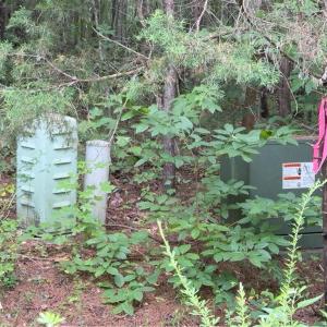 Photo #2 of Blackberry, Thomasville, NC 32.9 acres