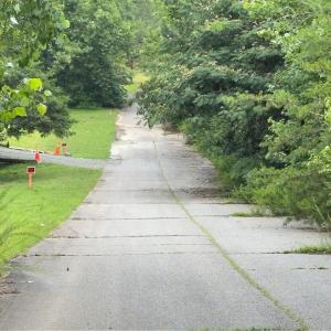 Photo #3 of Blackberry, Thomasville, NC 32.9 acres
