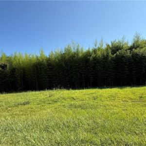 Photo #2 of US Highway 311, Sophia, NC 4.1 acres