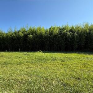 Photo #3 of US Highway 311, Sophia, NC 4.1 acres