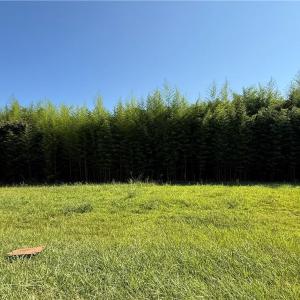 Photo #1 of US Highway 311, Sophia, NC 4.1 acres