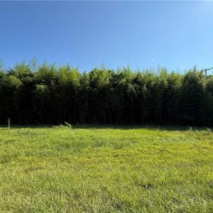 Photo #4 of US Highway 311, Sophia, NC 4.1 acres