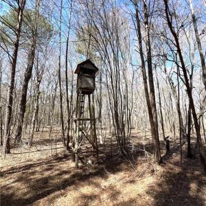 Photo #2 of Nicks, Mebane, NC 19.9 acres