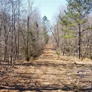 Photo #1 of Nicks, Mebane, NC 19.9 acres