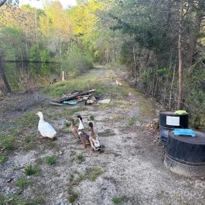 Photo #34 of 11155 & 11165 US Highway 52, Rockwell, NC 8.5 acres