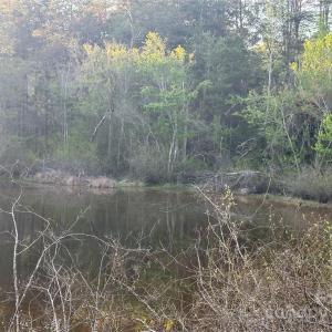 Photo #33 of 11155 & 11165 US Highway 52, Rockwell, NC 8.5 acres