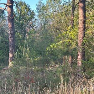 Photo #41 of 11155 & 11165 US Highway 52, Rockwell, NC 8.5 acres