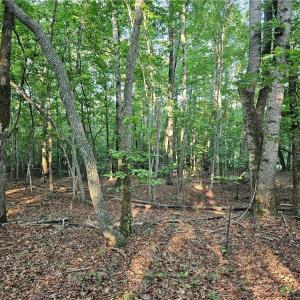 Photo #6 of Gravitte, Pilot Mountain, NC 1.6 acres