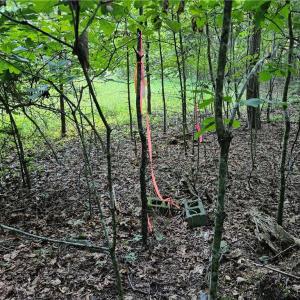Photo #10 of Gravitte, Pilot Mountain, NC 1.6 acres