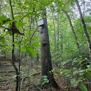 Photo #11 of Gravitte, Pilot Mountain, NC 1.6 acres