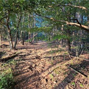 Photo #13 of NC Highway 268, Pilot Mountain, NC 7.2 acres