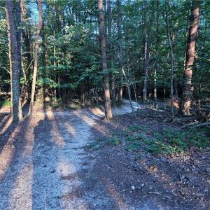 Photo #16 of NC Highway 268, Pilot Mountain, NC 7.2 acres