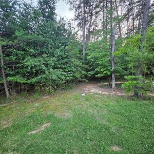 Photo #22 of NC Highway 268, Pilot Mountain, NC 7.2 acres