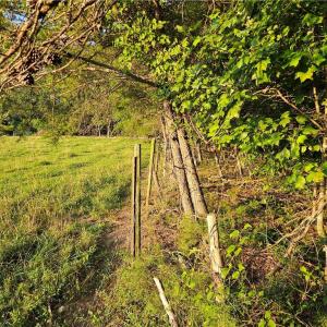 Photo #7 of NC Highway 268, Pilot Mountain, NC 7.2 acres