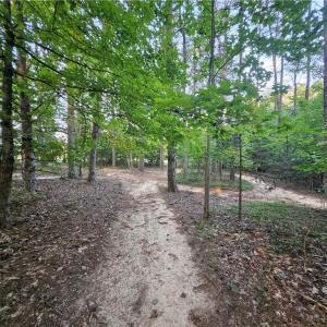 Photo #20 of NC Highway 268, Pilot Mountain, NC 7.2 acres