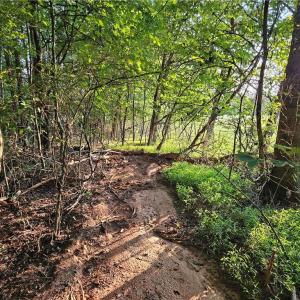 Photo #14 of NC Highway 268, Pilot Mountain, NC 7.2 acres