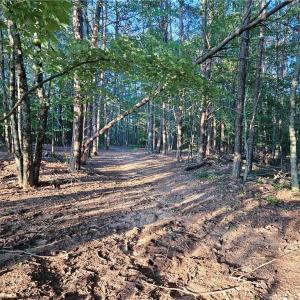 Photo #15 of NC Highway 268, Pilot Mountain, NC 7.2 acres