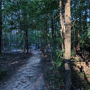 Photo #19 of NC Highway 268, Pilot Mountain, NC 7.2 acres