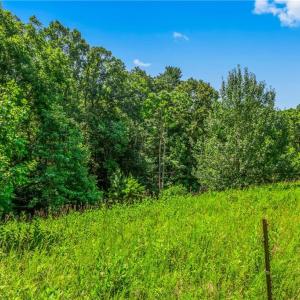 Photo #23 of Mills, Mount Airy, NC 13.0 acres