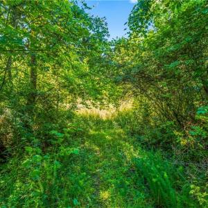 Photo #27 of Mills, Mount Airy, NC 13.0 acres