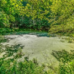 Photo #13 of Mills, Mount Airy, NC 13.0 acres