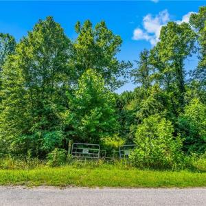 Photo #17 of Mills, Mount Airy, NC 13.0 acres