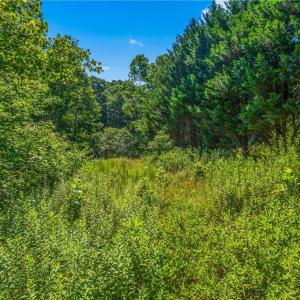 Photo #16 of Mills, Mount Airy, NC 13.0 acres