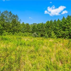 Photo #12 of Mills, Mount Airy, NC 13.0 acres