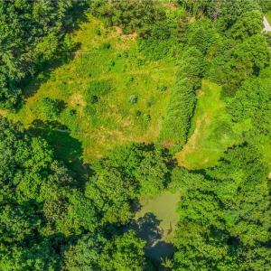 Photo #22 of Mills, Mount Airy, NC 13.0 acres