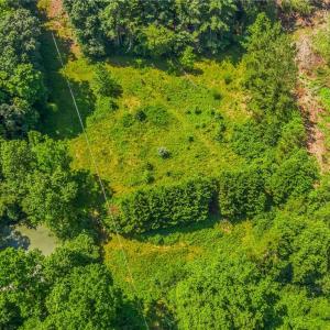 Photo #20 of Mills, Mount Airy, NC 13.0 acres