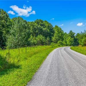 Photo #24 of Mills, Mount Airy, NC 13.0 acres