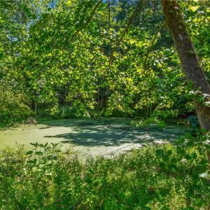 Photo #14 of Mills, Mount Airy, NC 13.0 acres