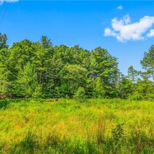 Photo #15 of Mills, Mount Airy, NC 13.0 acres