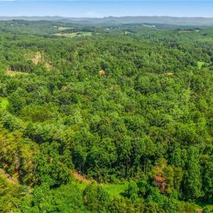 Photo #19 of Mills, Mount Airy, NC 13.0 acres