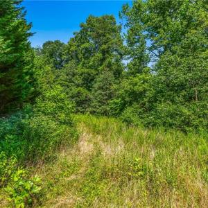 Photo #29 of Mills, Mount Airy, NC 13.0 acres