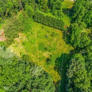 Photo #21 of Mills, Mount Airy, NC 13.0 acres