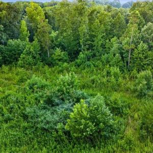 Photo #23 of Weavil, Winston-Salem, NC 9.2 acres