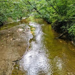Photo #4 of Weavil, Winston-Salem, NC 9.2 acres