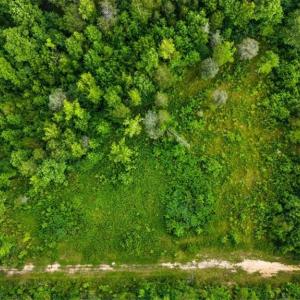 Photo #13 of Weavil, Winston-Salem, NC 9.2 acres