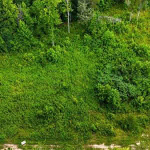 Photo #12 of Weavil, Winston-Salem, NC 9.2 acres