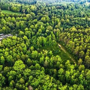 Photo #26 of Weavil, Winston-Salem, NC 9.2 acres