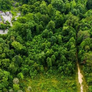 Photo #14 of Weavil, Winston-Salem, NC 9.2 acres