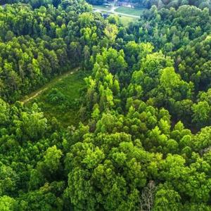 Photo #25 of Weavil, Winston-Salem, NC 9.2 acres