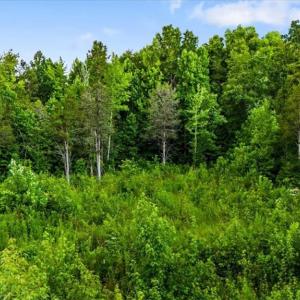 Photo #21 of Weavil, Winston-Salem, NC 9.2 acres