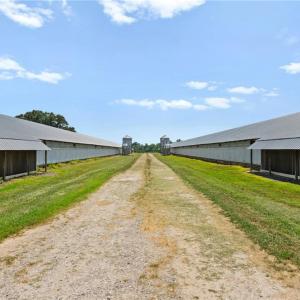 Photo #4 of 190 Campground, Statesville, NC 48.9 acres