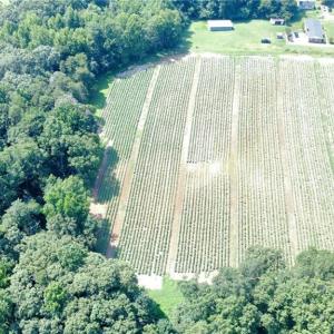 Photo #2 of Penman, Archdale, NC 17.1 acres
