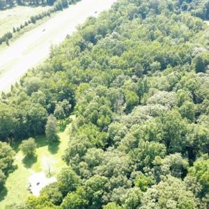 Wooded area of 17 acres