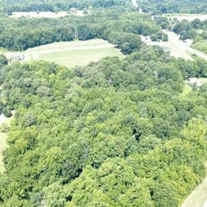 Photo #3 of Penman, Archdale, NC 17.1 acres