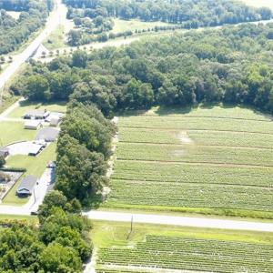 Photo #5 of Penman, Archdale, NC 17.1 acres